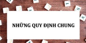 Các thông tin cốt lõi về vấn đề nguyên tắc